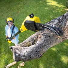Best Utility Line Clearance  in College Place, WA
