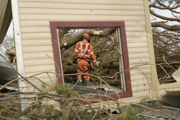 Best Tree Removal  in College Place, WA